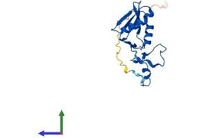 AlphaFold protein structure predicition of Mouse Recombinant Mrpl49 Protein, UniprotID Q9CQ40