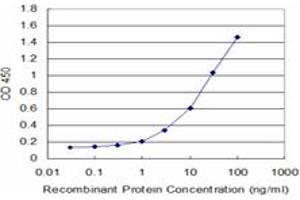 Detection limit for recombinant GST tagged MS4A1 is approximately 1ng/ml as a capture antibody. (CD20 Antikörper  (AA 1-297))