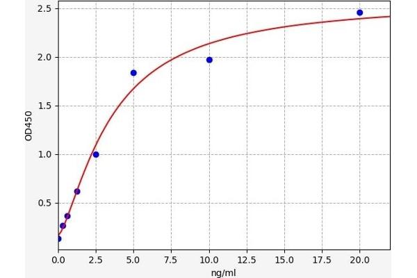 APPBP2 ELISA Kit