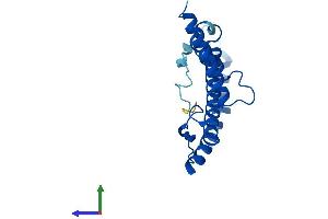 AlphaFold protein structure predicition of Mouse Recombinant Ndufb10 Protein, UniprotID Q9DCS9