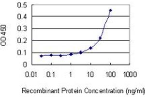 Detection limit for recombinant GST tagged RABEP1 is 3 ng/ml as a capture antibody. (RABEP1 Antikörper  (AA 765-862))