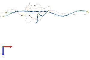 SPAG5 Protein (AA 1-1165) (His tag)