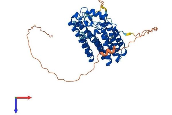 PDSS1 Protein (AA 1-409) (His tag)