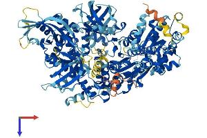 Protein Structure (PS) image for DNA Replication Helicase 2 Homolog (DNA2) (AA 1-1062) protein (His tag) (ABIN7564171)