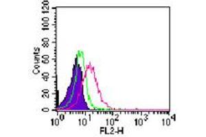 Image no. 3 for anti-RAR-Related Orphan Receptor C (RORC) (AA 1-50) antibody (ABIN959913) (RORC Antikörper  (AA 1-50))