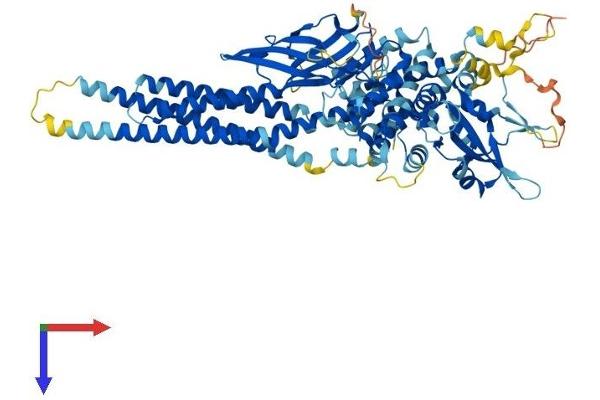 STAT4 Protein (AA 1-749) (His tag)