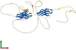 Protein Structure (PS) image for Myotilin (MYOT) (AA 1-498) protein (His tag) (ABIN7549665)