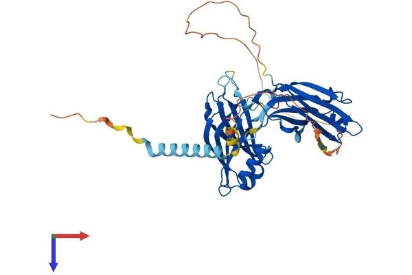 SYT7 Protein (AA 1-403) (His tag)