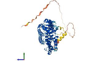 Protein Structure (PS) image for Peroxisome Proliferator-Activated Receptor delta (PPARD) (AA 1-440) protein (His tag) (ABIN7563171)