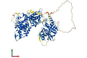 Protein Structure (PS) image for Molybdenum Cofactor Sulfurase (MOCOS) (AA 1-862) protein (His tag) (ABIN7563641)