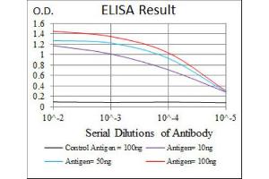 ELISA image for anti-Protein Phosphatase, Mg2+/Mn2+ Dependent, 1A (PPM1A) (AA 202-382) antibody (ABIN1845590)