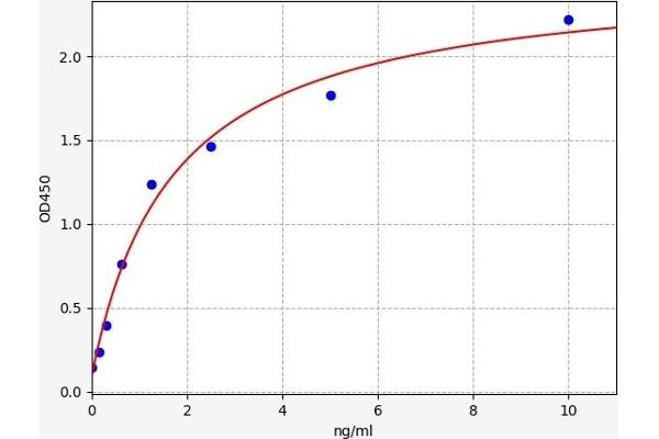 GSTO1 ELISA Kit