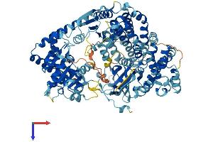 DDX58 Protein (AA 1-926) (His tag)