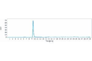 The purity of Anti-MMP9 Reference Antibody (andecaliximab) is more than 95 % , determined by SEC-HPLC.