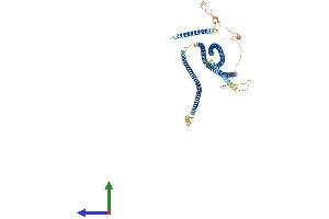 Protein Structure (PS) image for Centrosomal Protein 63kDa (CEP63) (AA 1-700) protein (His tag) (ABIN7563740)