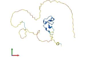 CXXC4 Protein (AA 1-198) (His tag)