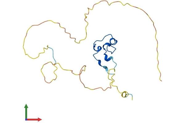 CXXC4 Protein (AA 1-198) (His tag)