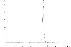 The purity of Canine CD28 is greater than 95 % as determined by SEC-HPLC.