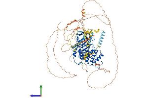 Protein Structure (PS) image for Erythrocyte Membrane Protein Band 4.1 (Elliptocytosis 1, RH-Linked) (EPB41) (AA 1-858) protein (His tag) (ABIN7563306)
