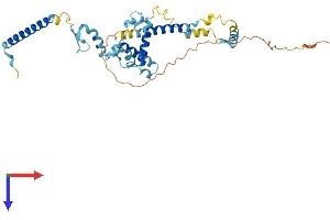 SNRNP48 Protein (AA 1-337) (His tag)