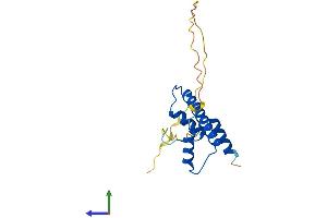 Protein Structure (PS) image for TAF12 RNA Polymerase II, TATA Box Binding Protein (TBP)-Associated Factor, 20kDa (TAF12) (AA 1-161) protein (His tag) (ABIN7544138)