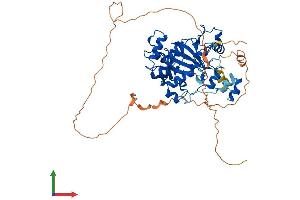 Protein Structure (PS) image for Lysine (K)-Specific Demethylase 4D (KDM4D) (AA 1-510) protein (His tag) (ABIN7557137)