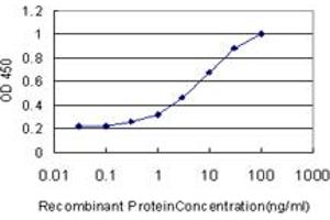Detection limit for recombinant GST tagged CA1 is approximately 0. (CA1 Antikörper  (AA 1-261))