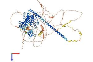MAP3K10 Protein (AA 1-954) (His tag)