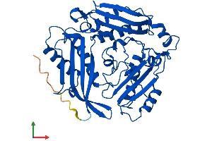 Protein Structure (PS) image for Methionine Adenosyltransferase I, alpha (MAT1A) (AA 1-395) protein (His tag) (ABIN7549308)