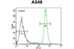 Flow Cytometry (FACS) image for anti-WAP Four-Disulfide Core Domain 12 (WFDC12) (AA 73-102), (C-Term) antibody (ABIN955573)