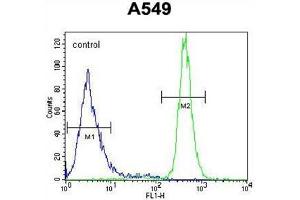 WFDC12 Antibody (C-term) (AP54561PU-N ) flow cytometric analysis of A549 cells (right histogram) compared to a negative control cell (left histogram). (WFDC12 Antikörper  (C-Term))