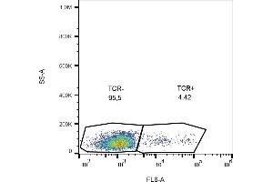 Flow cytometry analysis (surface staining) of human peripheral blood lymphocytes with anti-human TCR gamma/delta (B1) purified, GAM-APC. (TCR gamma/delta Antikörper)