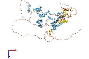 ZNF336 Protein (AA 1-711) (His tag)