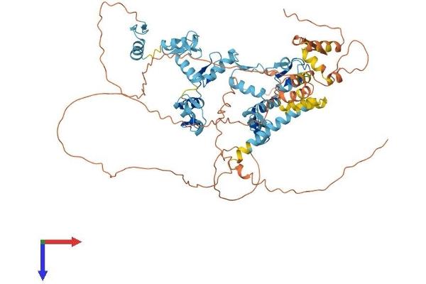 ZNF336 Protein (AA 1-711) (His tag)