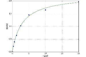 A typical standard curve