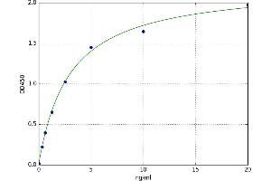 A typical standard curve (IGF1R ELISA Kit)