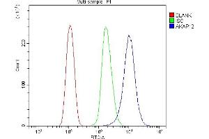 Flow Cytometry analysis of HEPA1-6 cells using anti-AKAP12 antibody (ABIN7601563).