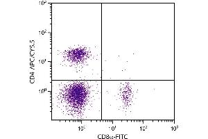 BALB/c mouse splenocytes were stained with Rat Anti-Mouse CD4-APC/CY5. (CD4 Antikörper  (APC-Cy5.5))