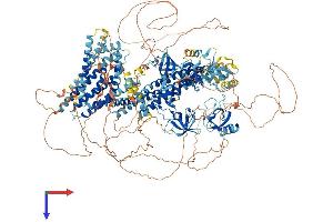 DNMBP Protein (AA 1-1580) (His tag)