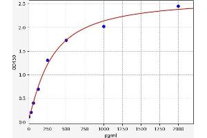 Granulocyte Chemotactic Protein 2 (GCP2) ELISA Kit