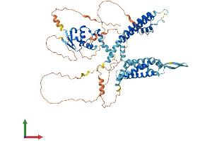 Protein Structure (PS) image for Potassium Voltage-Gated Channel, Shaw-Related Subfamily, Member 4 (KCNC4) (AA 1-628) protein (His tag) (ABIN7559661)