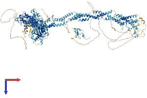 KDM5B Protein (AA 1-1544) (His tag)
