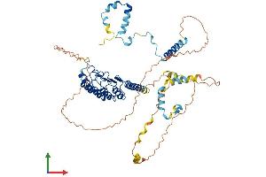 Protein Structure (PS) image for Leiomodin 2 (LMOD2) (AA 1-550) protein (His tag) (ABIN7557203)