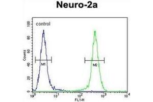 Flow cytometric analysis of Neuro-2a cells using Josephin-2 Antibody (N-term) Cat. (JOSD2 Antikörper  (N-Term))