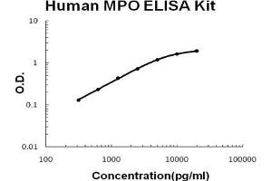 Human MPO PicoKine ELISA Kit standard curve (Myeloperoxidase ELISA Kit)