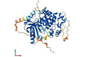 Protein Structure (PS) image for Mitogen-Activated Protein Kinase Kinase 2 (MAP2K2) (AA 1-400) protein (His tag) (ABIN7549526)