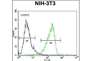 Calponin-3 Antibody (Center) (ABIN390504 and ABIN2840860) flow cytometric analysis of NIH-3T3 cells (right histogram) compared to a negative control cell (left histogram). (CNN3 Antikörper  (AA 129-158))