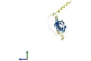 AlphaFold protein structure predicition of Human Recombinant IGSF23 Protein, UniprotID A1L1A6 (IGSF23 Protein (AA 1-192) (His tag))
