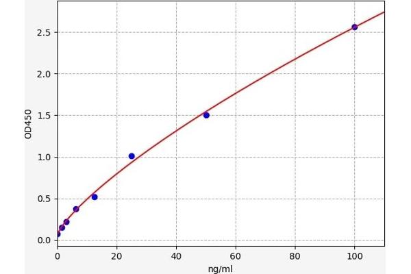 Topoisomerase I ELISA Kit