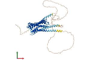 Protein Structure (PS) image for Cholinergic Receptor, Muscarinic 5 (CHRM5) (AA 1-532) protein (His tag) (ABIN7560176)